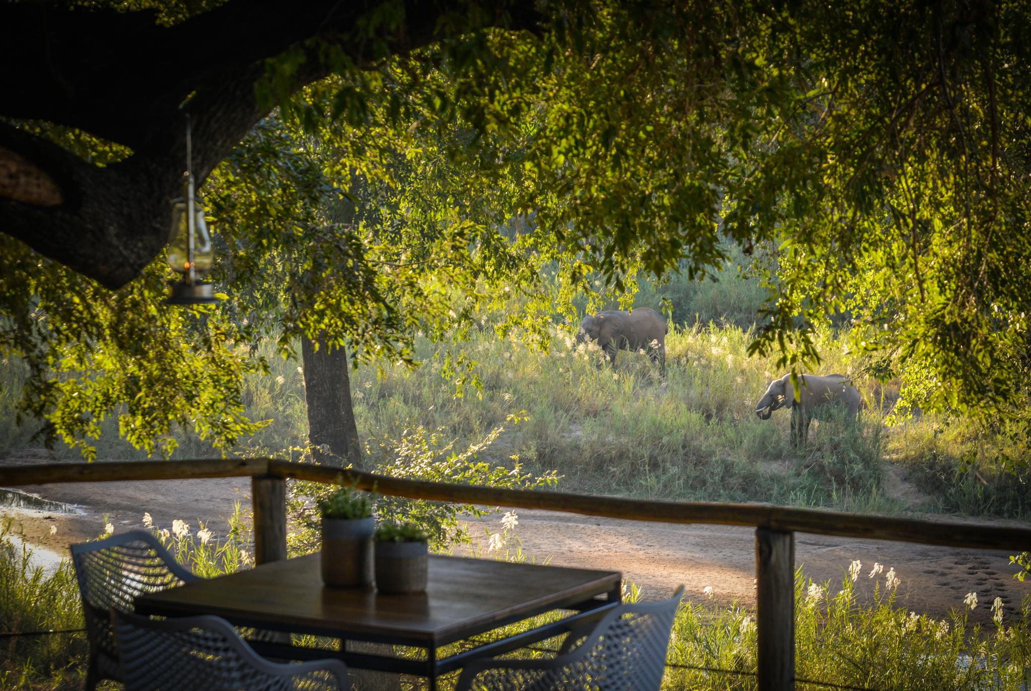 Lion Sands Narina Lodge Sabi Sand Game Reserve Exterior foto
