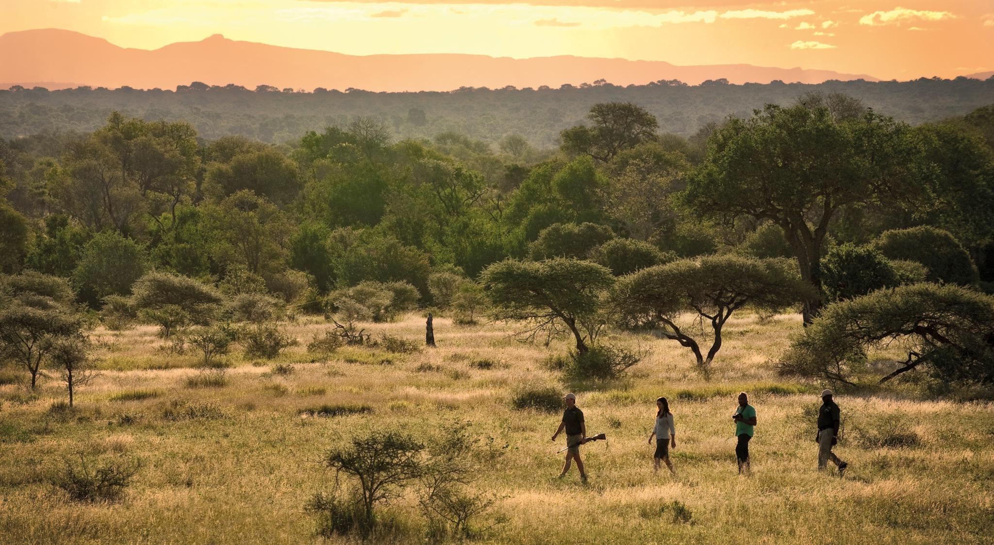 Lion Sands Narina Lodge Sabi Sand Game Reserve Exterior foto