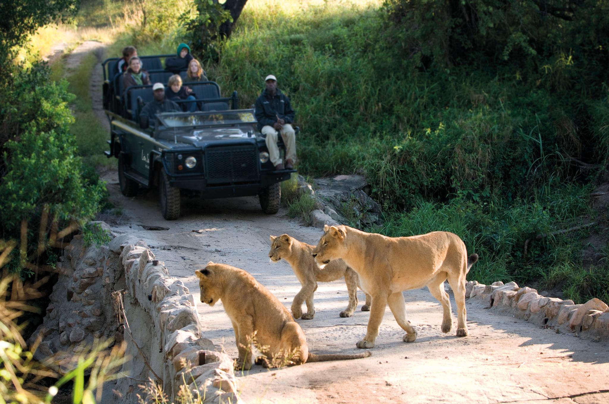 Lion Sands Narina Lodge Sabi Sand Game Reserve Exterior foto