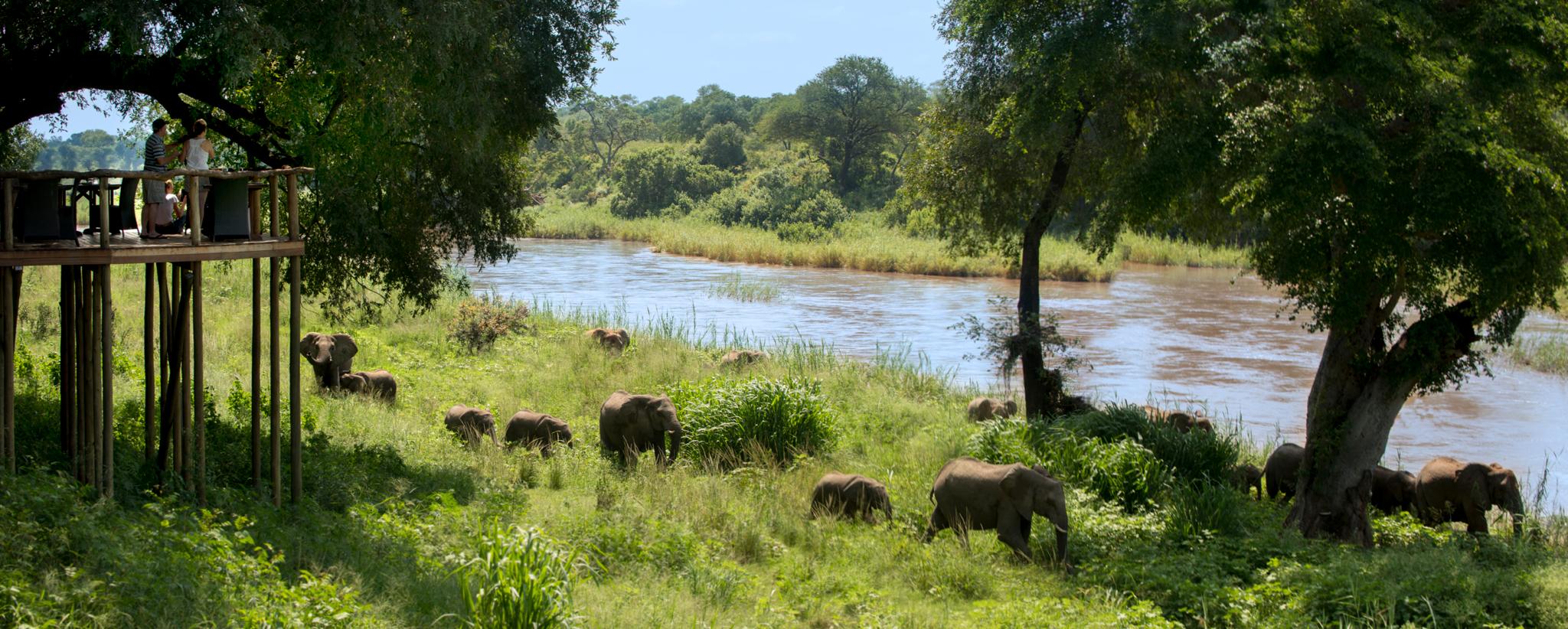 Lion Sands Narina Lodge Sabi Sand Game Reserve Exterior foto