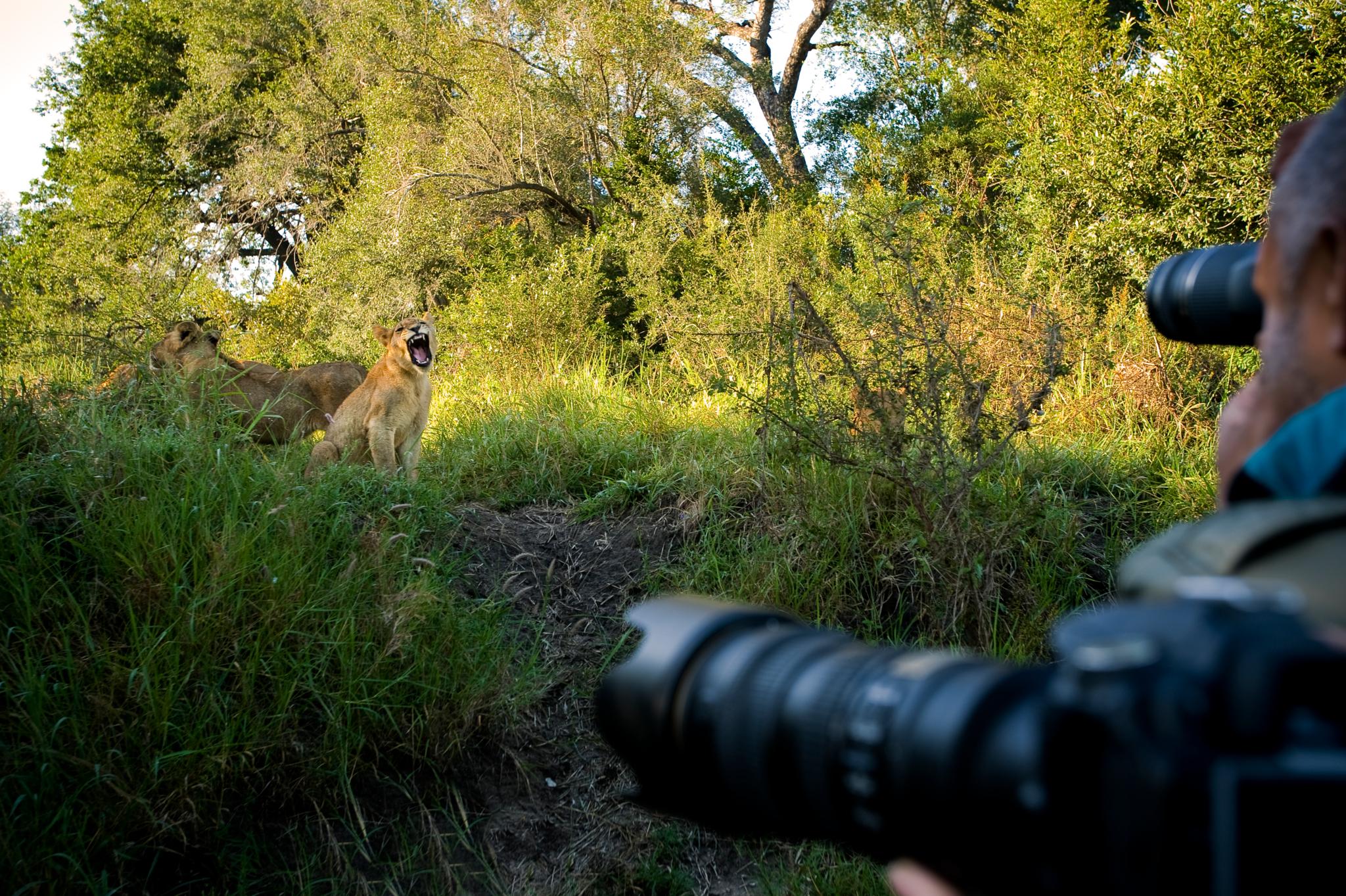 Lion Sands Narina Lodge Sabi Sand Game Reserve Exterior foto