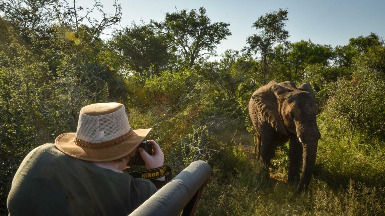 Lion Sands Narina Lodge Sabi Sand Game Reserve Exterior foto